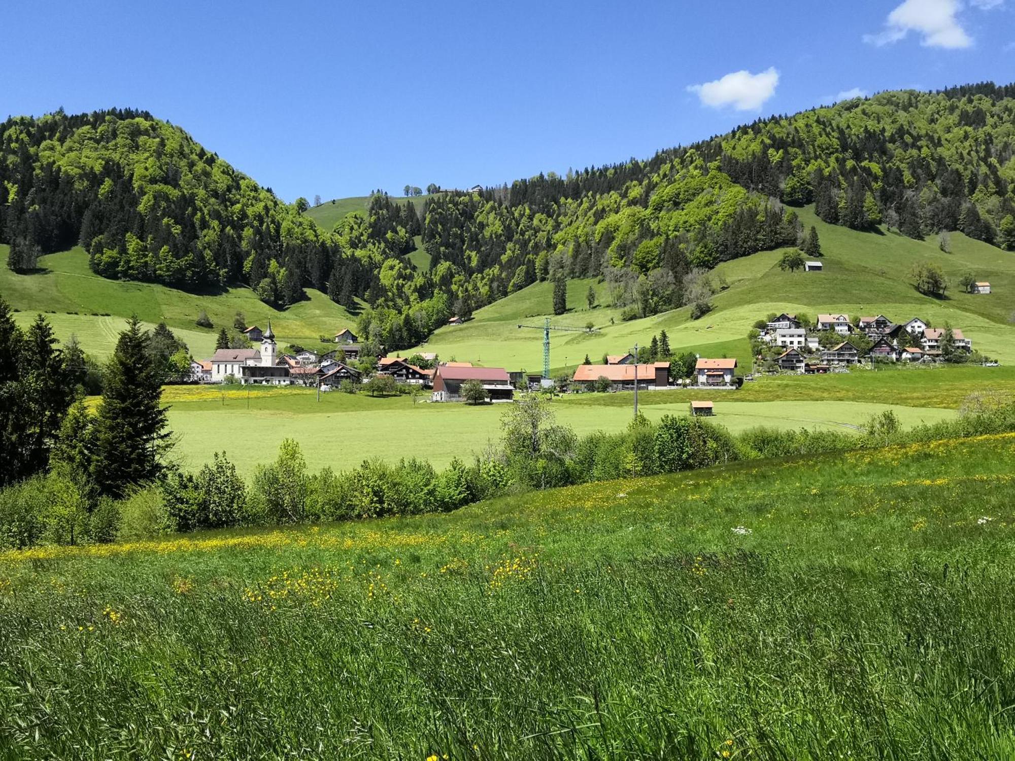Apartment Am Birkenweg Walde 외부 사진