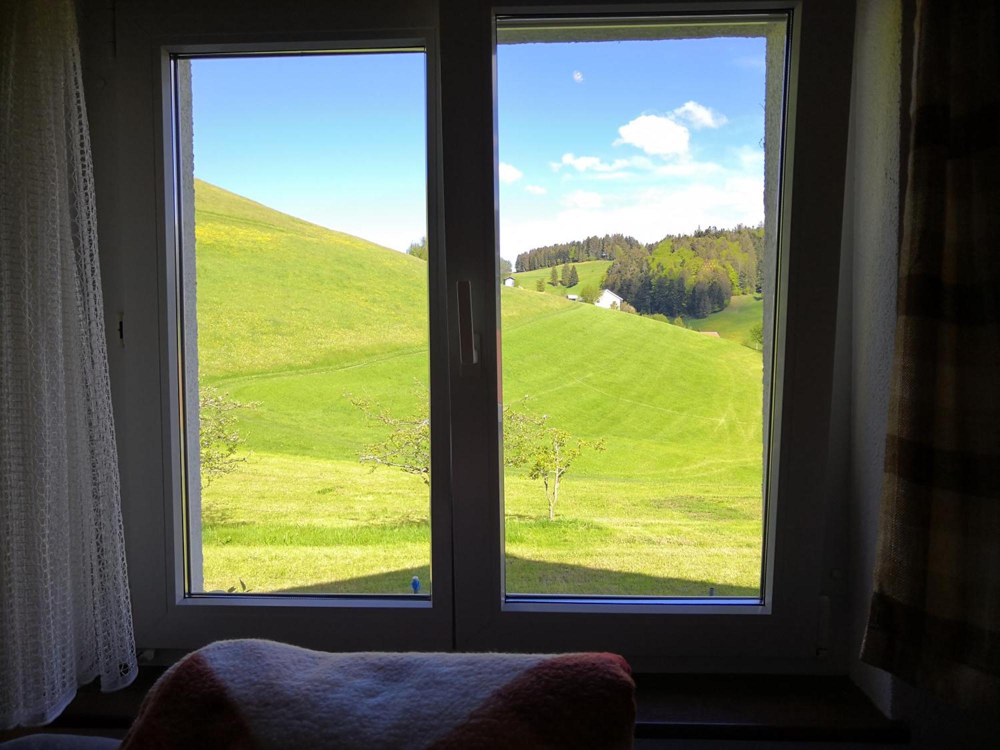 Apartment Am Birkenweg Walde 외부 사진